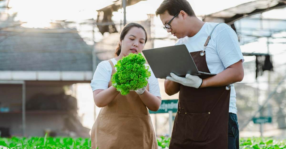 experienced agronomist documenting observations of plants using his laptop