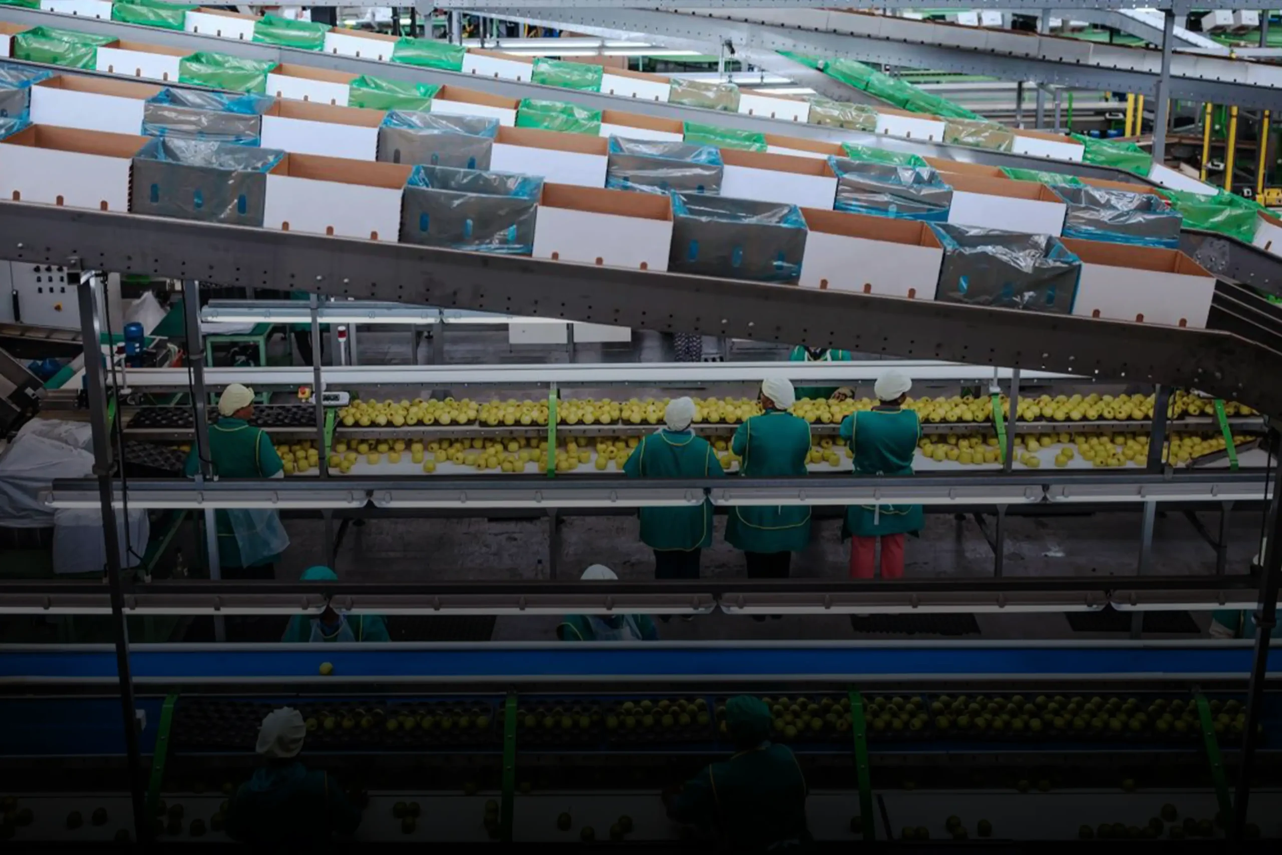 Production line management of fruits from agricultural farmers being mass produced in a manufacturing factory under Agribusiness company,