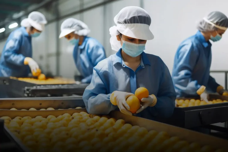 A factory worker from a manpower services cooperative company under agribusiness industry is carefully sorting oranges in boxes
